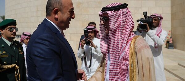 Mevlüt Çavuşoğlu - Adil el Cubeyr - Sputnik Türkiye