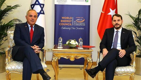 İsrail Enerji Bakanı Yuval Steinitz - Türkiye Enerji Bakanı Berat Albayrak - Sputnik Türkiye
