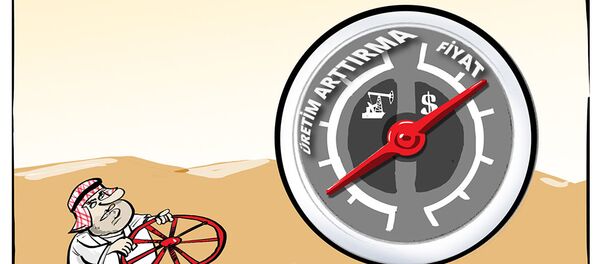 OPEC'ten petrol üretimini dondurma kararı çıkmadı - Sputnik Türkiye