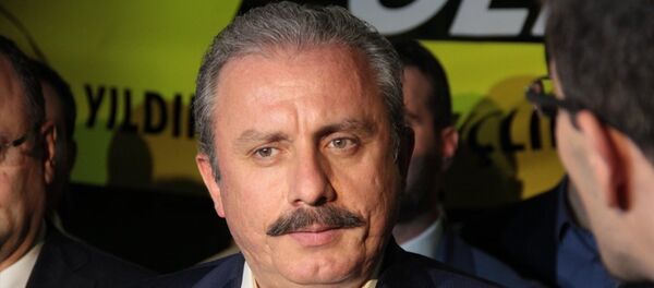 Mustafa Şentop - Sputnik Türkiye