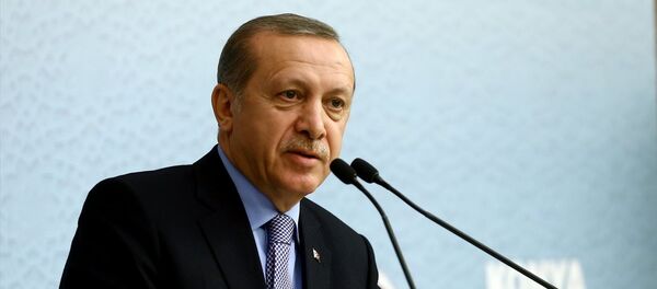 Cumhurbaşkanı Recep Tayyip Erdoğan - Sputnik Türkiye