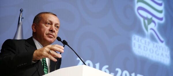 Cumhurbaşkanı Recep Tayyip Erdoğan - Sputnik Türkiye
