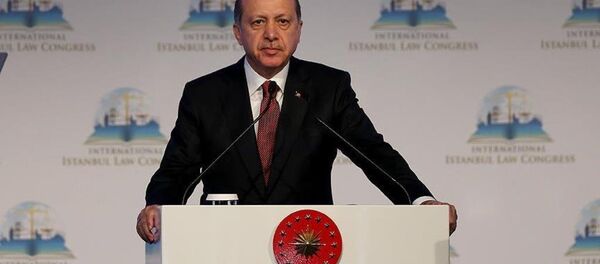 Cumhurbaşkanı Recep Tayyip Erdoğan - Sputnik Türkiye