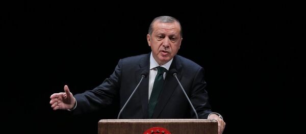 Cumhurbaşkanı Recep Tayyip Erdoğan - Sputnik Türkiye