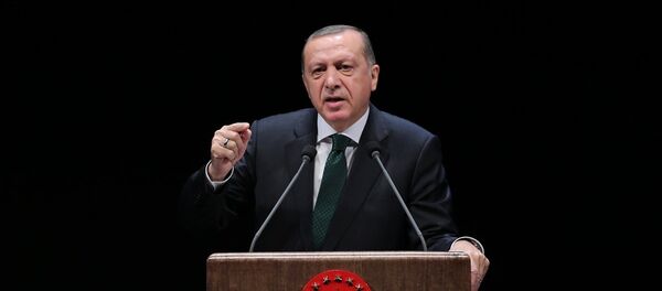 Cumhurbaşkanı Recep Tayyip Erdoğan - Sputnik Türkiye