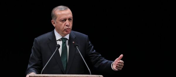 Cumhurbaşkanı Recep Tayyip Erdoğan - Sputnik Türkiye