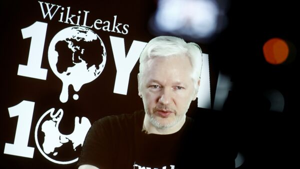 Julian Assange - Sputnik Türkiye