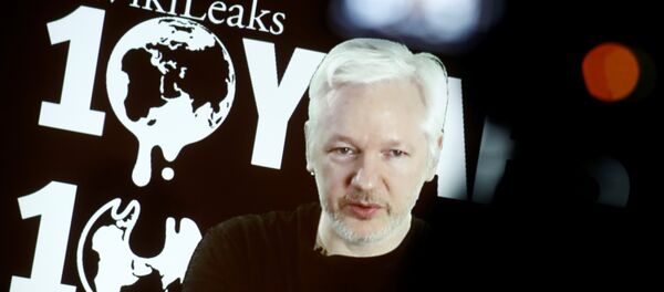 WikiLeaks kurucusu Julian Assange - Sputnik Türkiye