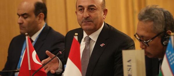 Dışişleri Bakanı Mevlüt Çavuşoğlu - Sputnik Türkiye