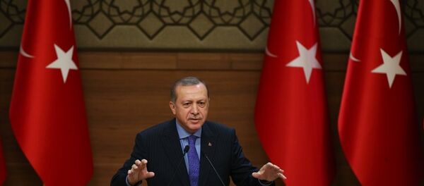 Türkiye Cumhurbaşkanı Recep Tayyip Erdoğan Türkiye Cumhurbaşkanı Recep Tayyip Erdoğan - Sputnik Türkiye