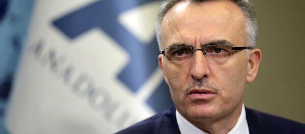 Maliye Bakanı Naci Ağbal - Sputnik Türkiye