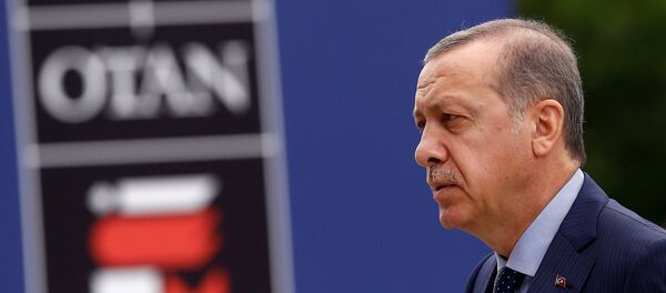 Recep Tayyip Erdoğan / NATO - Sputnik Türkiye