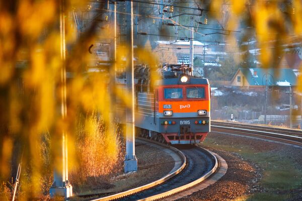 Doğu Sibirya Demiryolu Trans Sibirya Demiryolunun bir kısmıdır.  Baykal-Amur Anayolu’nun bir kısmı da bu demiryoluna ait. - Sputnik Türkiye