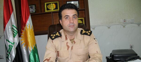 Irak Kürt Bölgesel Yönetimi Peşmerge Bakanlığı sözcüsü Helgurt Hikmet - Sputnik Türkiye