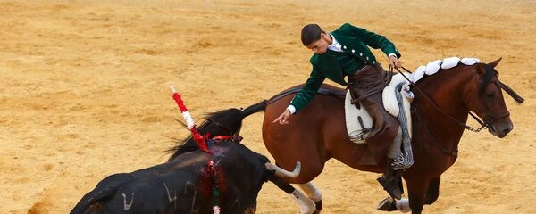 boğa güreşi-İspanya-Katalonya-Madrid - Sputnik Türkiye