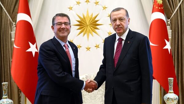 Cumhurbaşkanı Recep Tayyip Erdoğan-ABD Savunma Bakanı Ashton Carter - Sputnik Türkiye
