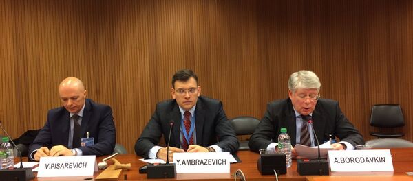 Aleksey Borodavkin Aleksey Borodavkin - Sputnik Türkiye