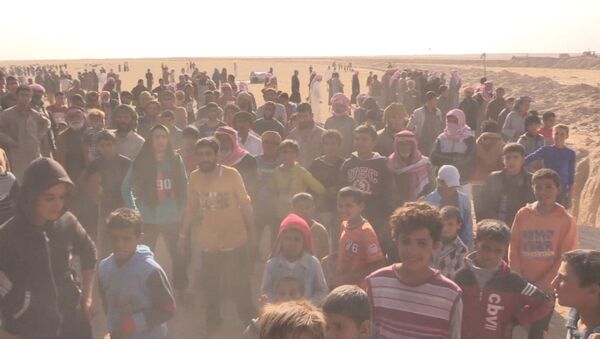 Mosul’dan kaçan mülteciler  Suriye’ye gitmeye başladılar. - Sputnik Türkiye