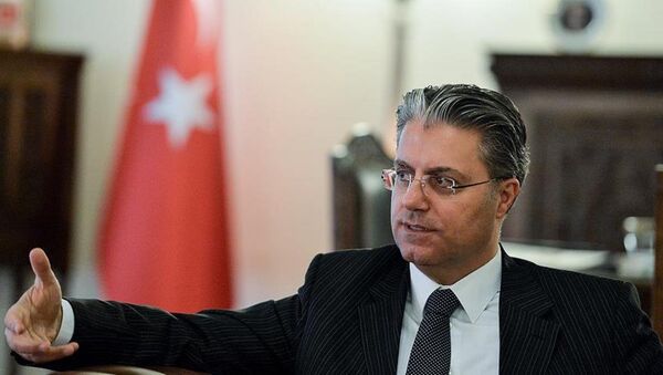 Türkiye'nin Tahran Büyükelçisi Rıza Hakan Tekin - Sputnik Türkiye