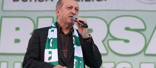 Cumhurbaşkanı Recep Tayyip Erdoğan - Sputnik Türkiye
