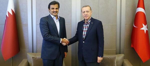 Cumhurbaşkanı Recep Tayyip Erdoğan - Katar Emiri Şeyh Temim bin Hamad El Sani - Sputnik Türkiye