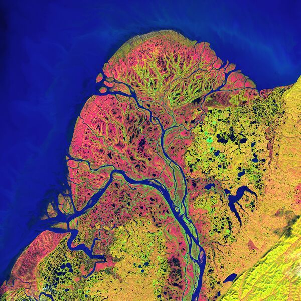 Alaska’daki Yukon Deltası Ulusal Doğal Yaşam Parkı’nın uzaydan görünümü. - Sputnik Türkiye