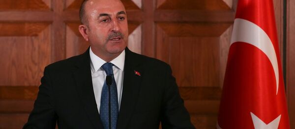 Mevlüt Çavuşoğlu - Sputnik Türkiye