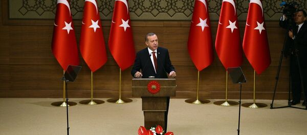 Cumhurbaşkanı Recep Tayyip Erdoğan - Sputnik Türkiye