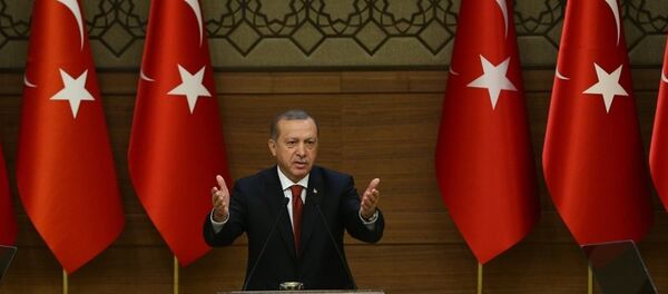 Cumhurbaşkanı Recep Tayyip Erdoğan - Sputnik Türkiye