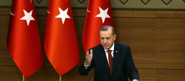 Cumhurbaşkanı Recep Tayyip Erdoğan - Sputnik Türkiye