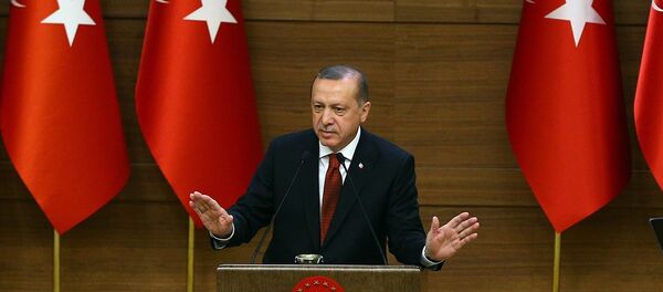 Cumhurbaşkanı Recep Tayyip Erdoğan - Sputnik Türkiye