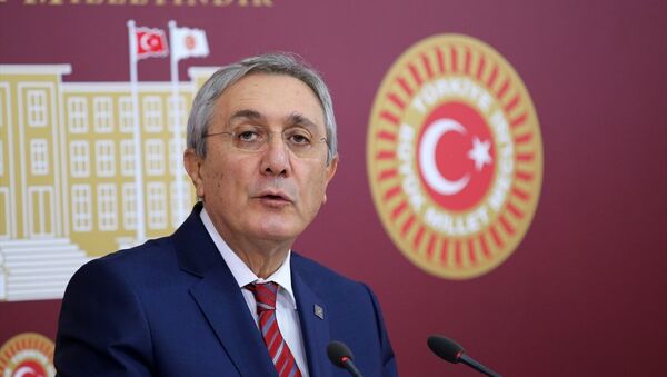 MHP Genel Başkan Yardımcısı Emin Haluk Ayhan - Sputnik Türkiye