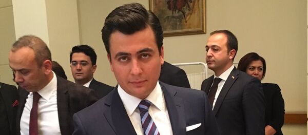 Osman Gökçek - Sputnik Türkiye