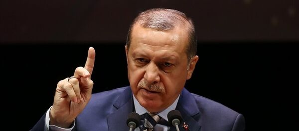Cumhurbaşkanı Recep Tayyip Erdoğan Cumhurbaşkanı Recep Tayyip Erdoğan - Sputnik Türkiye