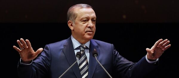 Cumhurbaşkanı Recep Tayyip Erdoğan - Sputnik Türkiye