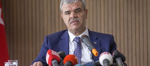 Başbakan Yardımcısı Veysi Kaynak - Sputnik Türkiye