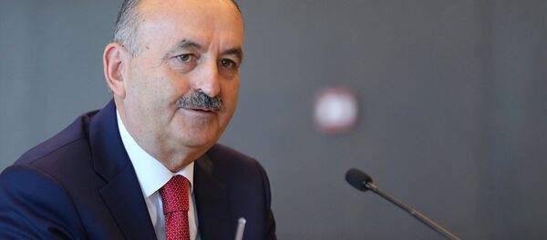 Çalışma ve Sosyal Güvenlik Bakanı Mehmet Müezzinoğlu - Sputnik Türkiye