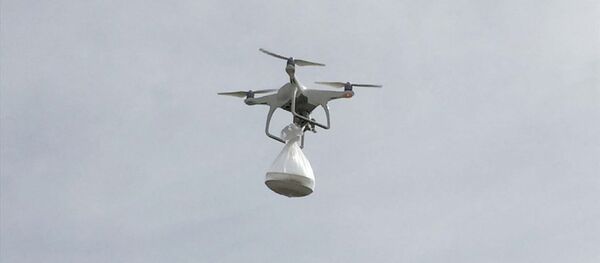 Drone - Sputnik Türkiye