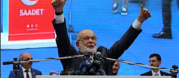 Temel Karamollaoğlu - Sputnik Türkiye