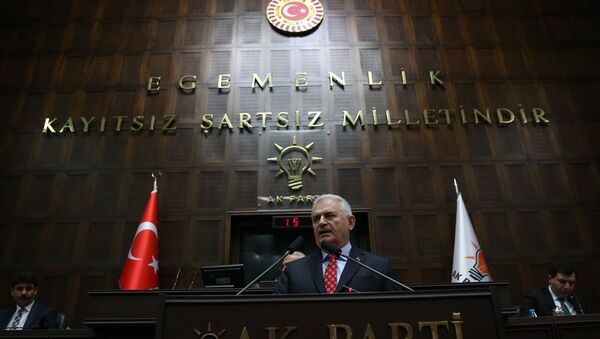 Türkiye Başbakanı Binali Yıldırım - Sputnik Türkiye