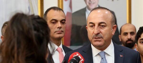 Dışişleri Bakanı Mevlüt Çavuşoğlu - Sputnik Türkiye