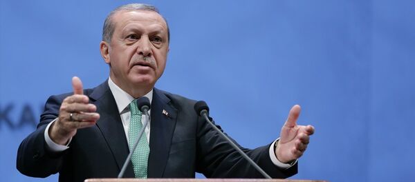 Cumhurbaşkanı Recep Tayyip Erdoğan - Sputnik Türkiye