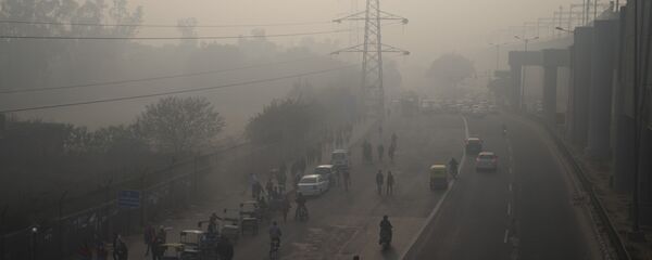 Yeni Delhi'de hava kirliliği - Sputnik Türkiye