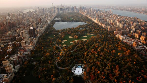 New-York’ta güneşin doğduğu anda Cenrtal Park manzarası. - Sputnik Türkiye