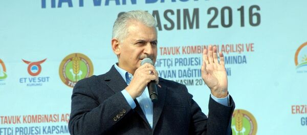 Türkiye Başbakanı Binali Yıldırım Türkiye Başbakanı Binali Yıldırım - Sputnik Türkiye