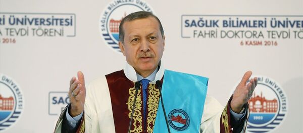 Cumhurbaşkanı Recep Tayyip Erdoğan - Sputnik Türkiye