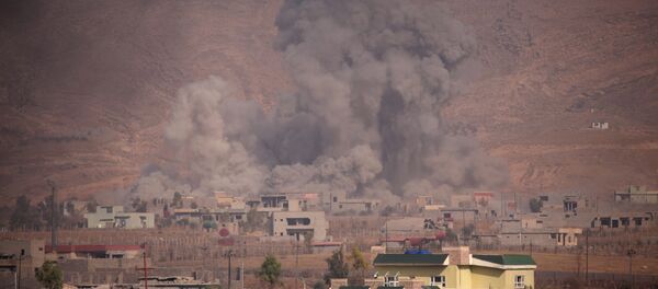 Irak- Başika - Sputnik Türkiye