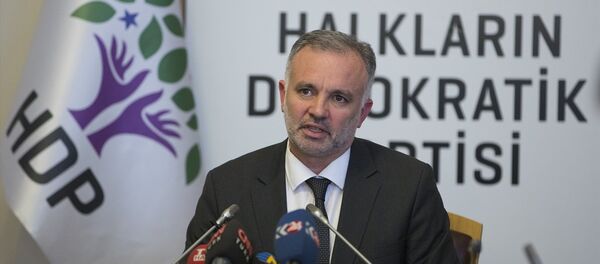 HDP Sözcüsü Ayhan Bilgen - Sputnik Türkiye