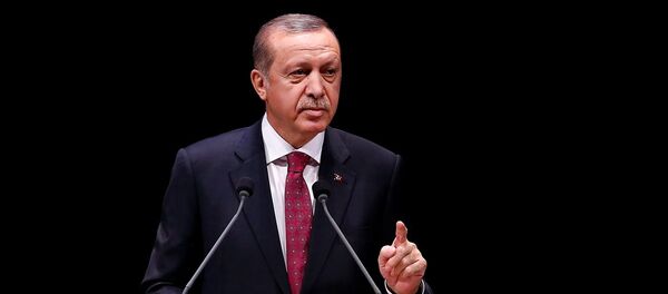 Cumhurbaşkanı Recep Tayyip Erdoğan - Sputnik Türkiye