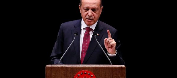 Cumhurbaşkanı Recep Tayyip Erdoğan - Sputnik Türkiye